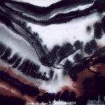Encre de Chine- Michèle Zanaroli