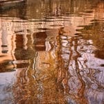 Inspirations Michèle Zanaroli