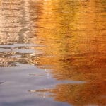 Inspirations Michèle Zanaroli