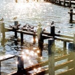 Inspirations Michèle Zanaroli