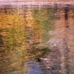 Inspirations Michèle Zanaroli